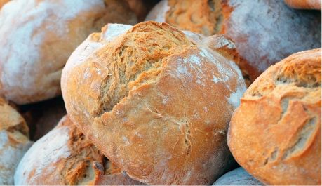 catálogo de productos para la hostelería pan y bollería
